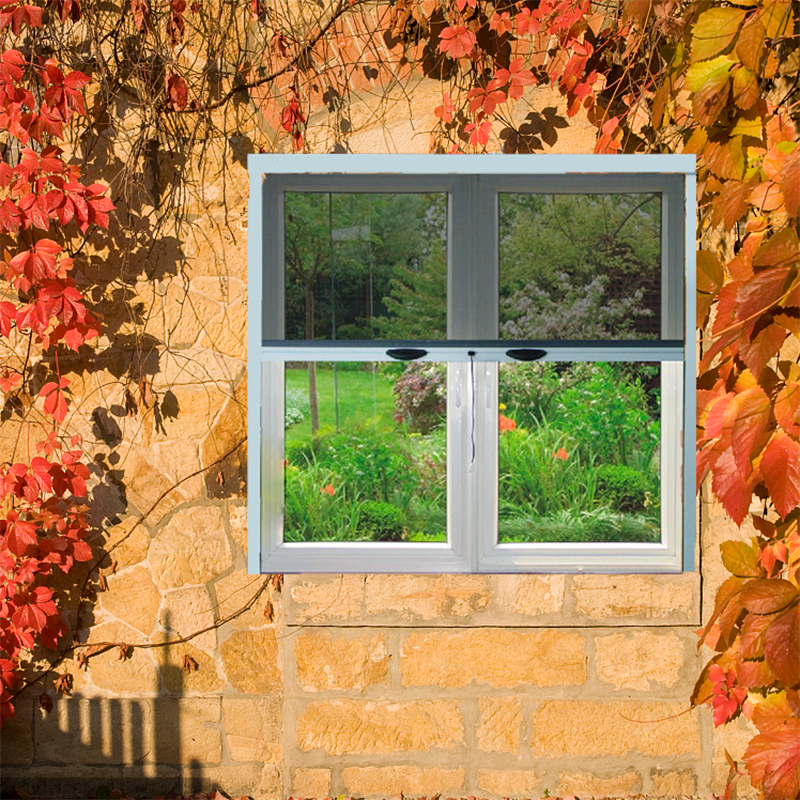 screen windows1